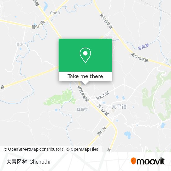 大青冈树 map