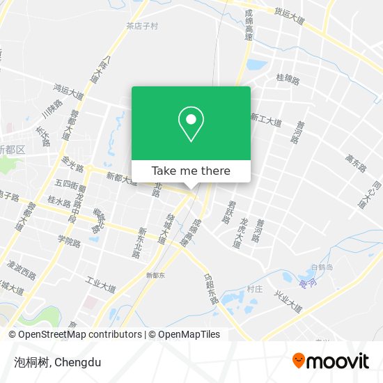 泡桐树 map
