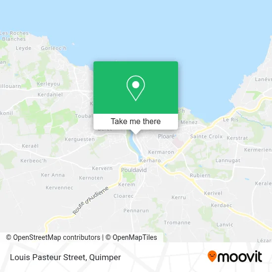 Rue Louis Pasteur map