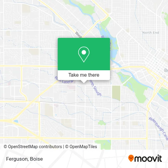 Ferguson map