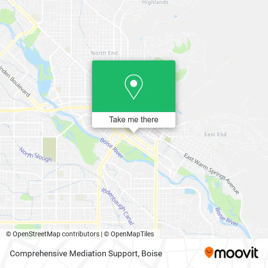 Comprehensive Mediation Support map