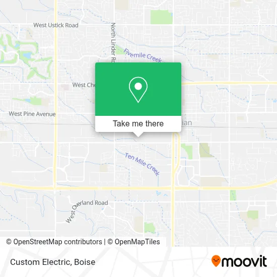 Custom Electric map