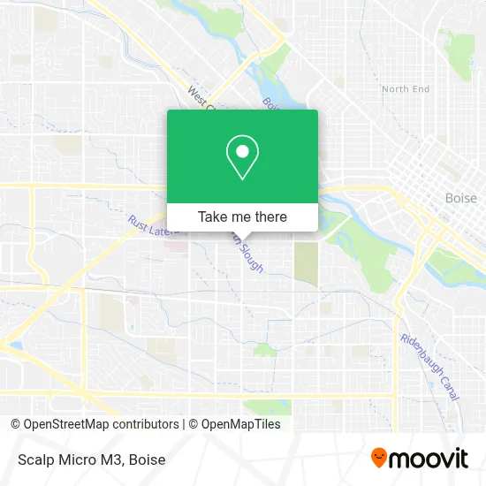 Scalp Micro M3 map
