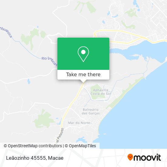 Mapa Leãozinho 45555