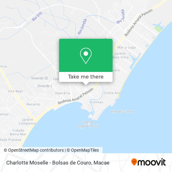 Charlotte Moselle - Bolsas de Couro map
