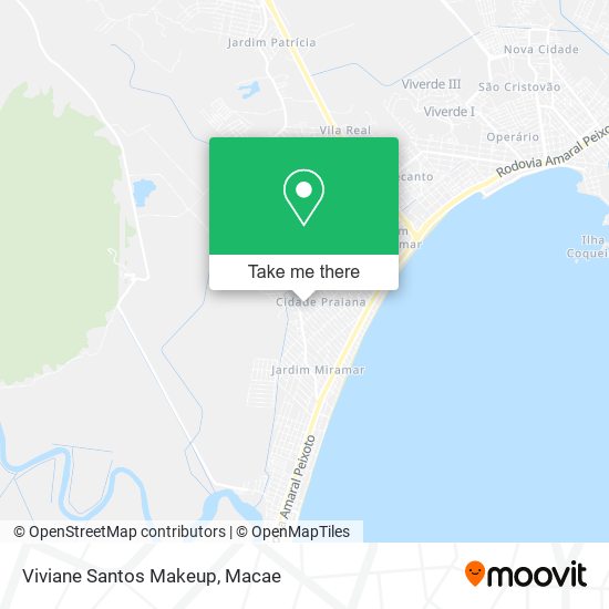 Viviane Santos Makeup map