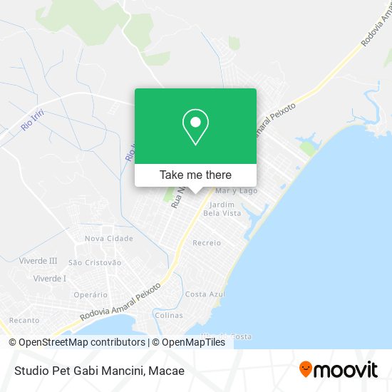 Studio Pet Gabi Mancini map