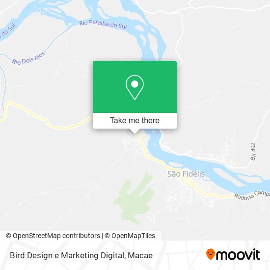 Bird Design e Marketing Digital map