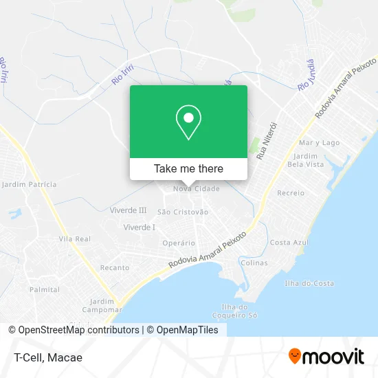 T-Cell map