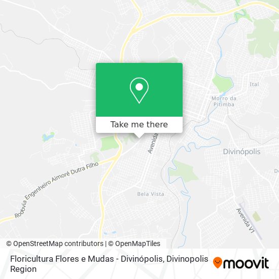 Floricultura Flores e Mudas - Divinópolis map