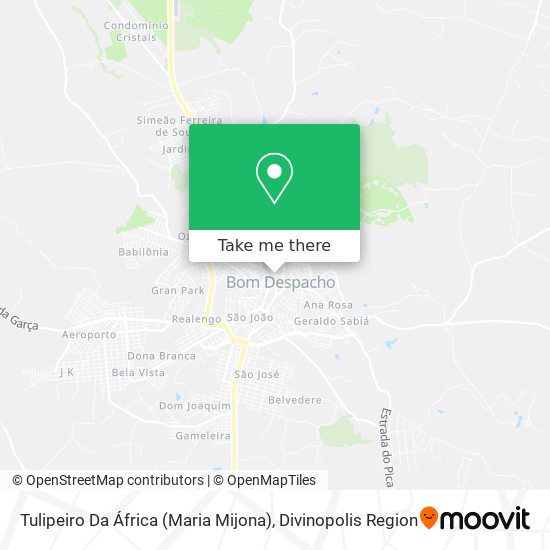 Tulipeiro Da África (Maria Mijona) map