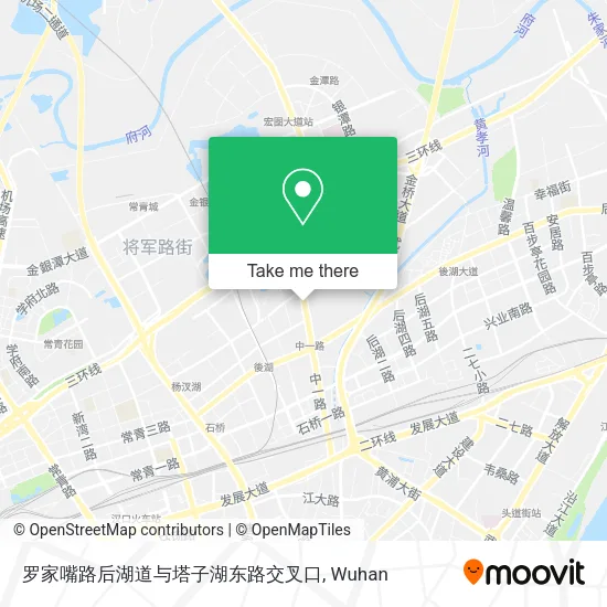 罗家嘴路后湖道与塔子湖东路交叉口 map