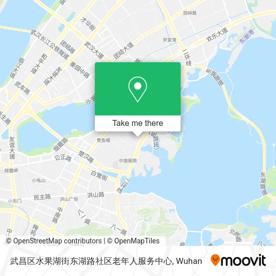 武昌区水果湖街东湖路社区老年人服务中心 map