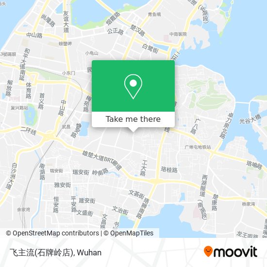 飞主流(石牌岭店) map