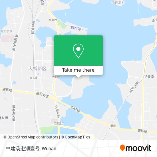 中建汤逊湖壹号 map