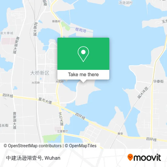 中建汤逊湖壹号 map
