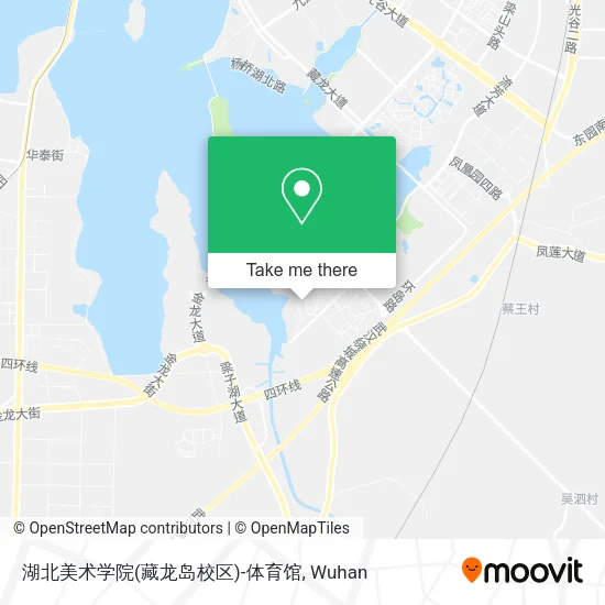 湖北美术学院(藏龙岛校区)-体育馆 map