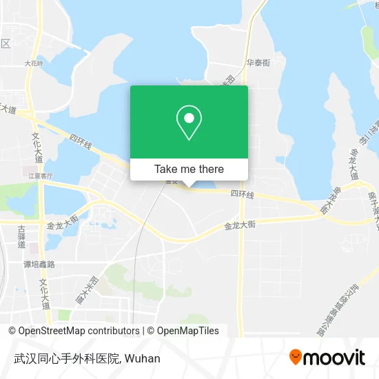 武汉同心手外科医院 map