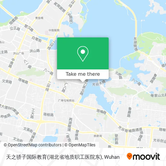 天之骄子国际教育(湖北省地质职工医院东) map