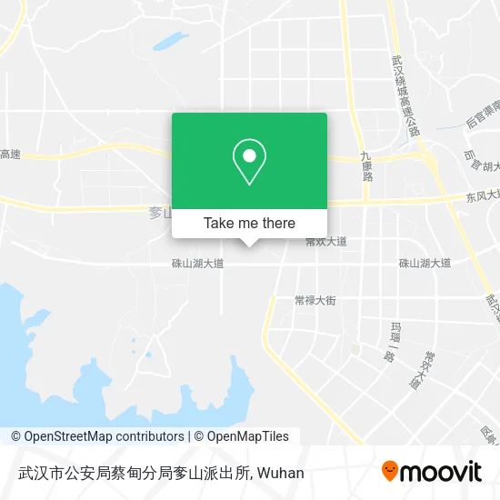 武汉市公安局蔡甸分局奓山派出所 map
