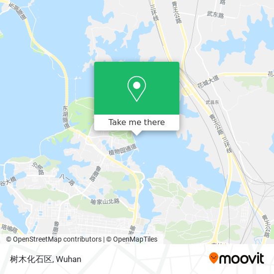 树木化石区 map
