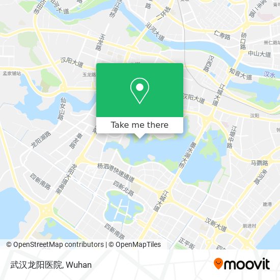 武汉龙阳医院 map