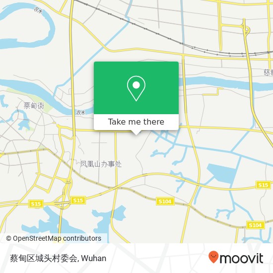 蔡甸区城头村委会 map