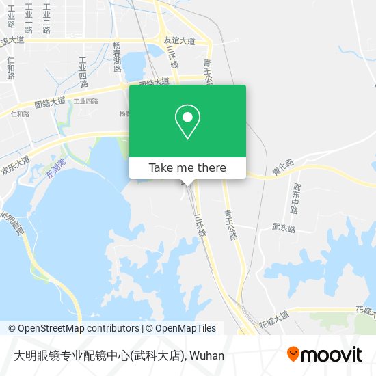 大明眼镜专业配镜中心(武科大店) map