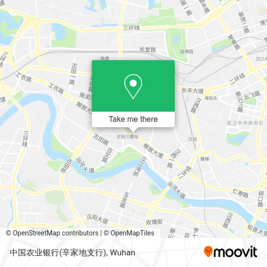 中国农业银行(辛家地支行) map