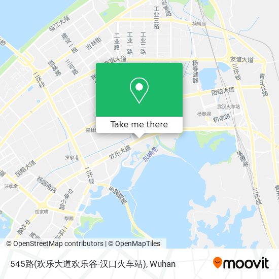 545路(欢乐大道欢乐谷-汉口火车站) map