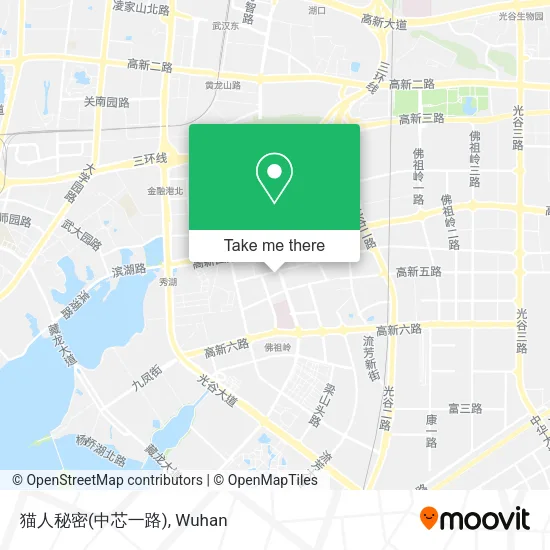 猫人秘密(中芯一路) map