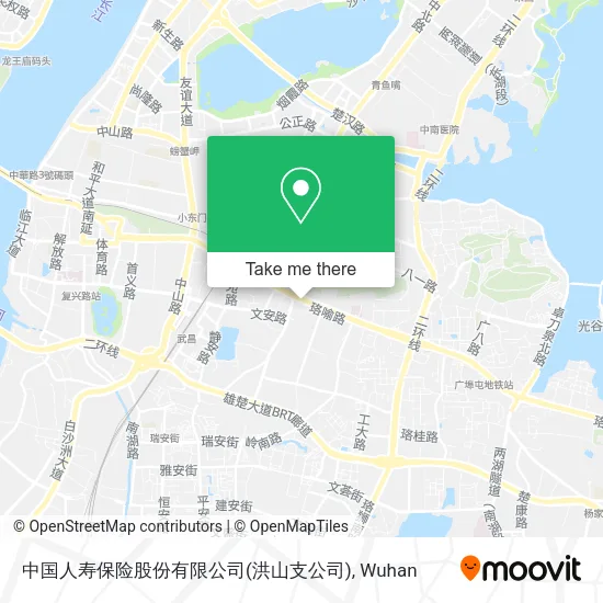 中国人寿保险股份有限公司(洪山支公司) map