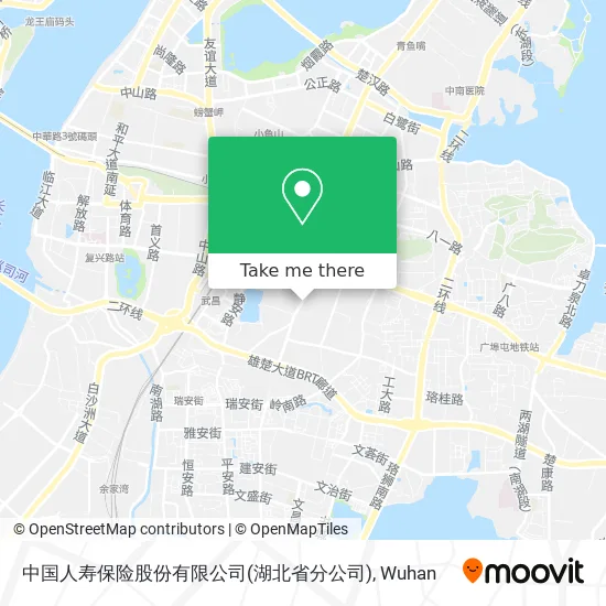 中国人寿保险股份有限公司(湖北省分公司) map