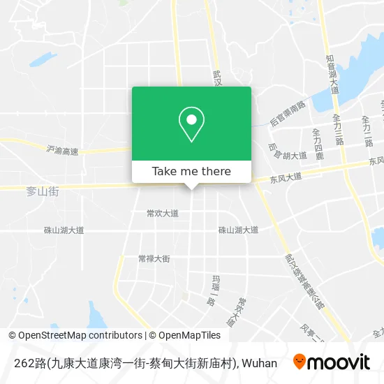 262路(九康大道康湾一街-蔡甸大街新庙村) map
