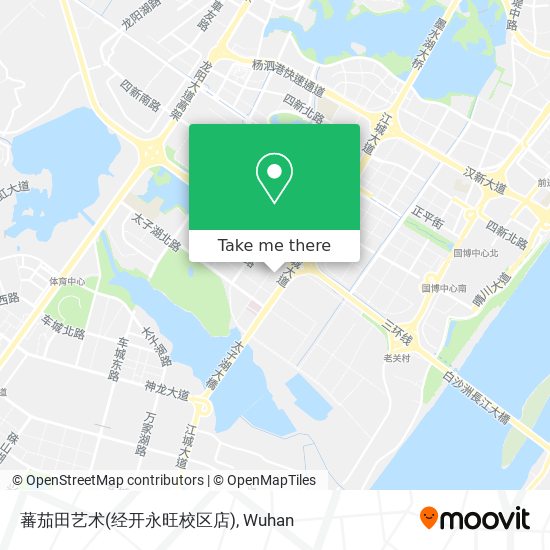 蕃茄田艺术(经开永旺校区店) map