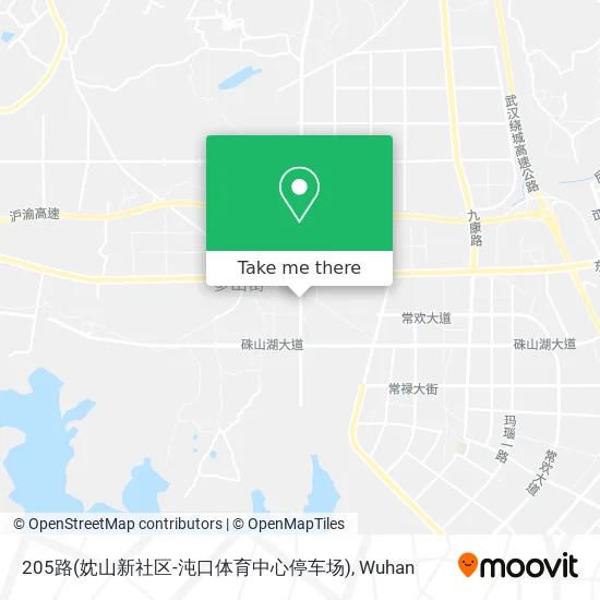 205路(妉山新社区-沌口体育中心停车场) map
