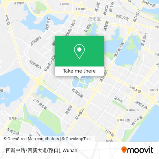 四新中路/四新大道(路口) map