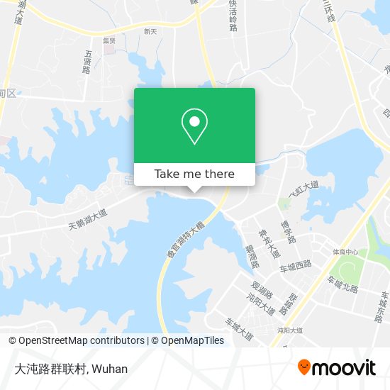 大沌路群联村 map