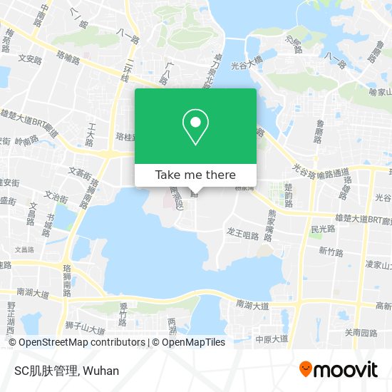 SC肌肤管理 map