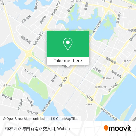 梅林西路与四新南路交叉口 map