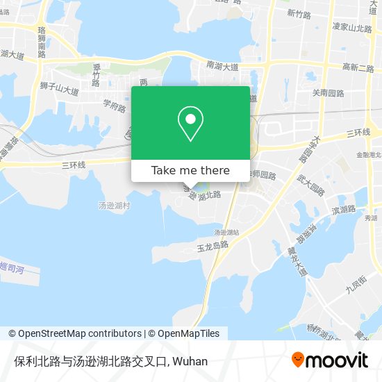 保利北路与汤逊湖北路交叉口 map