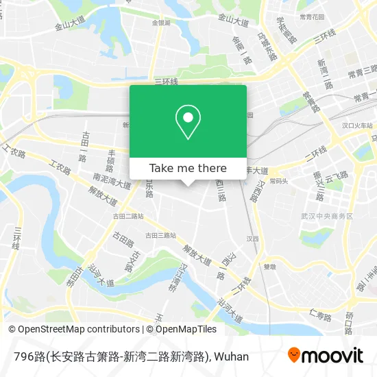 796路(长安路古箫路-新湾二路新湾路) map