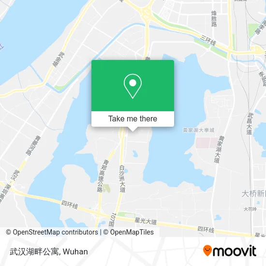 武汉湖畔公寓 map