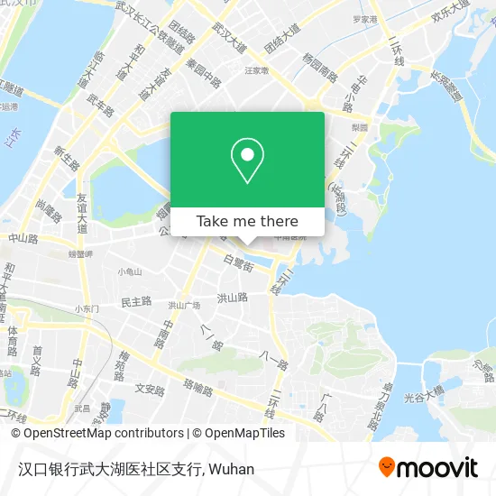 汉口银行武大湖医社区支行 map
