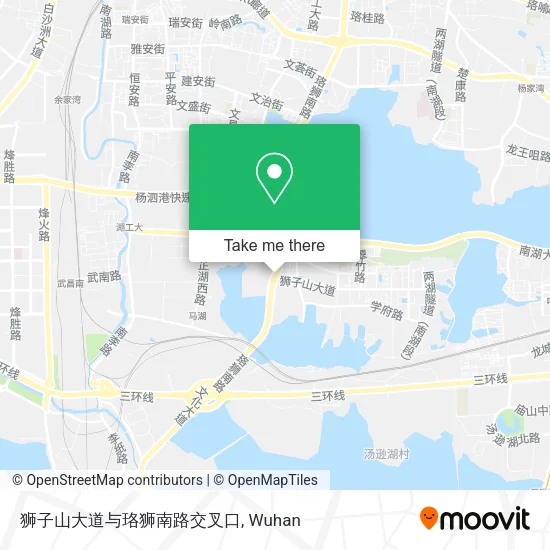 狮子山大道与珞狮南路交叉口 map