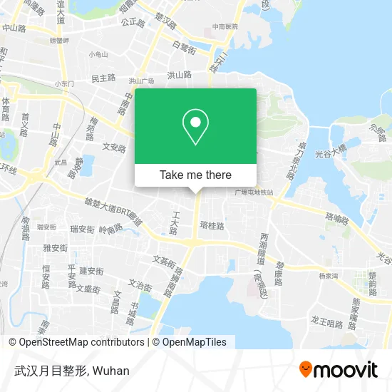 武汉月目整形 map
