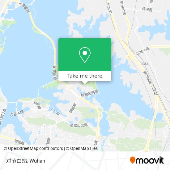对节白蜡 map