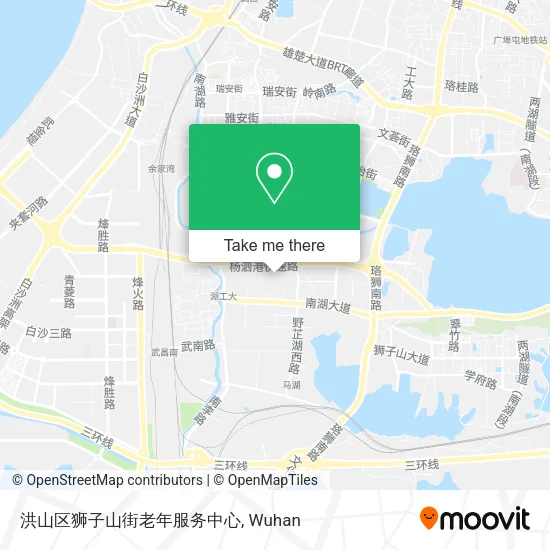 洪山区狮子山街老年服务中心 map