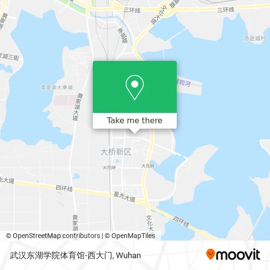 武汉东湖学院体育馆-西大门 map