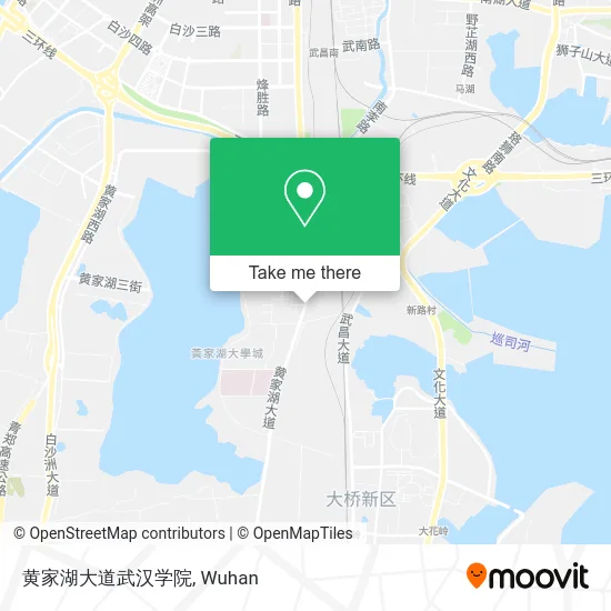 黄家湖大道武汉学院 map